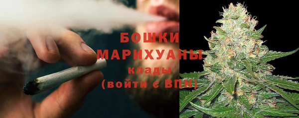 гидра Лихославль
