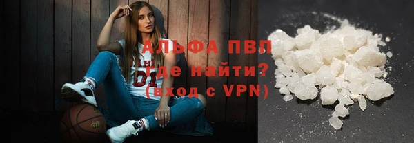 индика Майский