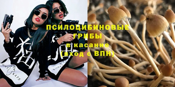 гидра Лихославль