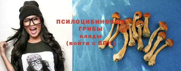 мдпв Лиски