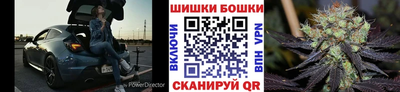 Купить закладки  Туринск  Бошки Шишки планчик 